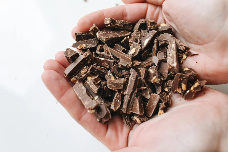 a person holding a handful of pieces of chocolate, by Julia Pishtar, pexels, crushed, detailed product image, bark for skin, thumbnail