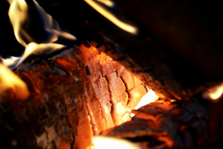 a close up of a fire with flames coming out of it, hurufiyya, warm lighting with cool shadows, “ iron bark, neon glowing wood, ready to eat