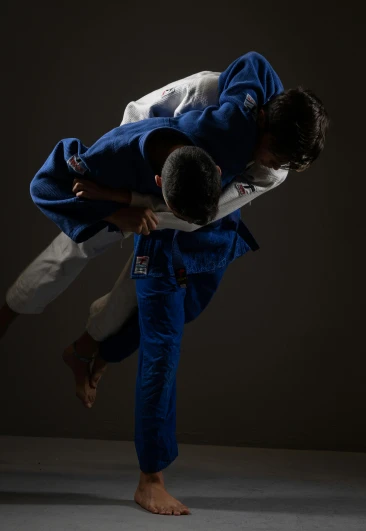 a couple of men standing on top of each other, doing martial arts, paul barson, high-speed sports photography, profile image