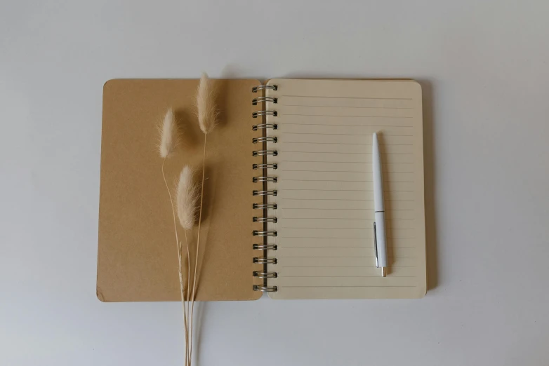 a notebook with a pen sitting on top of it, bullrushes, light tan, very simple, thumbnail