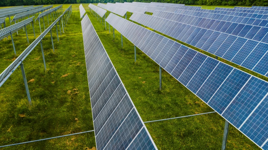 rows of solar panels in a field, a portrait, by Carey Morris, shutterstock, 15081959 21121991 01012000 4k, drone photo, 1 6 x 1 6, ayne haag