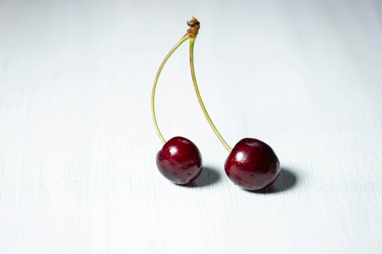 two cherries sitting next to each other on a table, lpoty, stems, with a white background, carefully crafted
