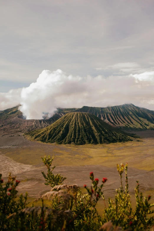 a view of a volcano from the top of a hill, by Daren Bader, trending on unsplash, sumatraism, square, flora-lush-crater, slightly tanned, historical photo