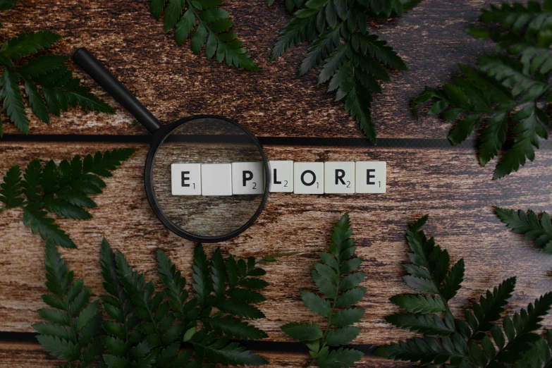 a magnifying glass sitting on top of a wooden table, by Edward Clark, pexels contest winner, ecological art, finding words, amongst foliage, explorers, wide screenshot