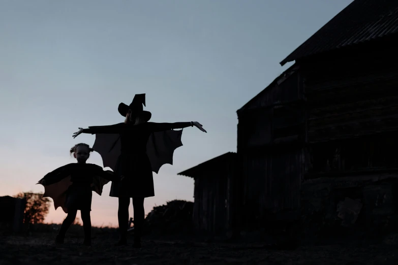 a couple of people that are standing in the grass, by Attila Meszlenyi, pexels contest winner, conceptual art, bats in sky, beautiful cowboy witch, shadow play, dark. no text