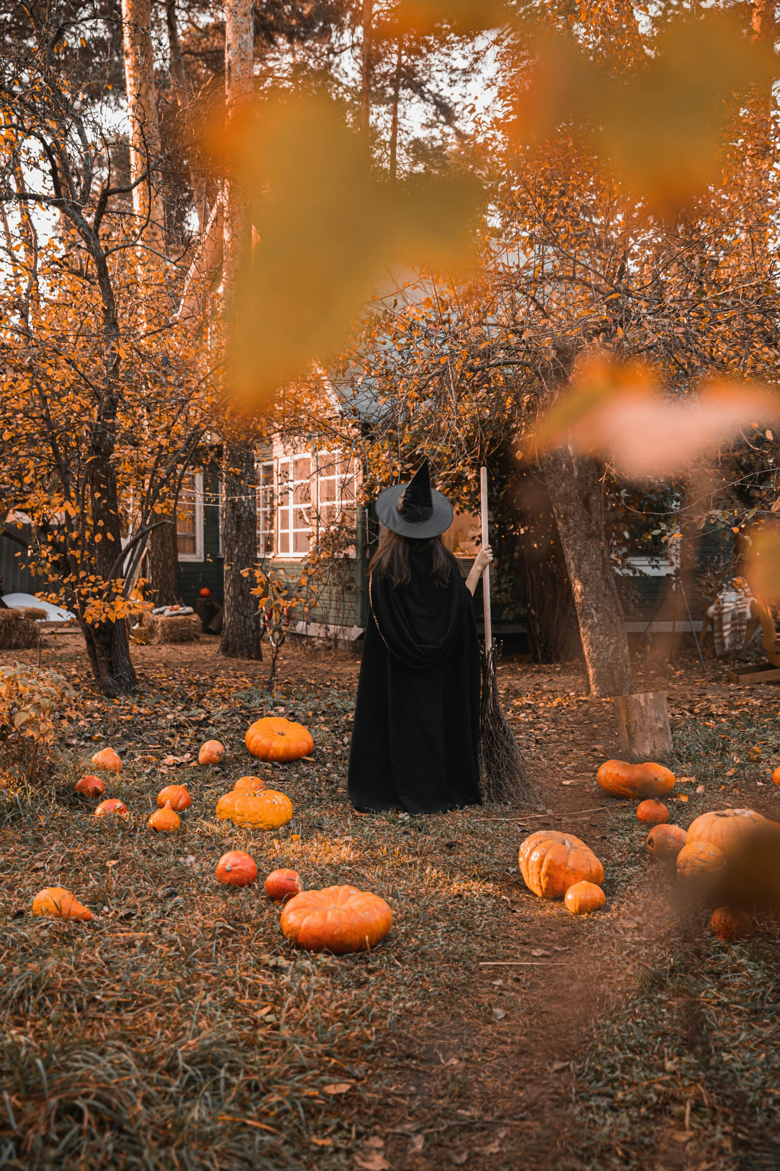 a person standing in a field of pumpkins, pexels contest winner, symbolism, pointed black witch hat, fall leaves on the floor, gif, brown