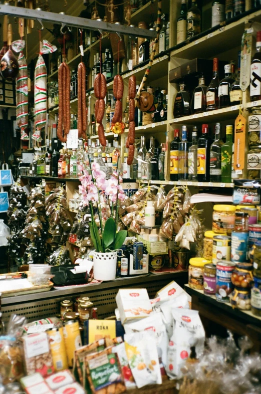 a store filled with lots of different types of food, a still life, inspired by Jacopo Bassano, amaro, analogue photo, spanish, fan favorite