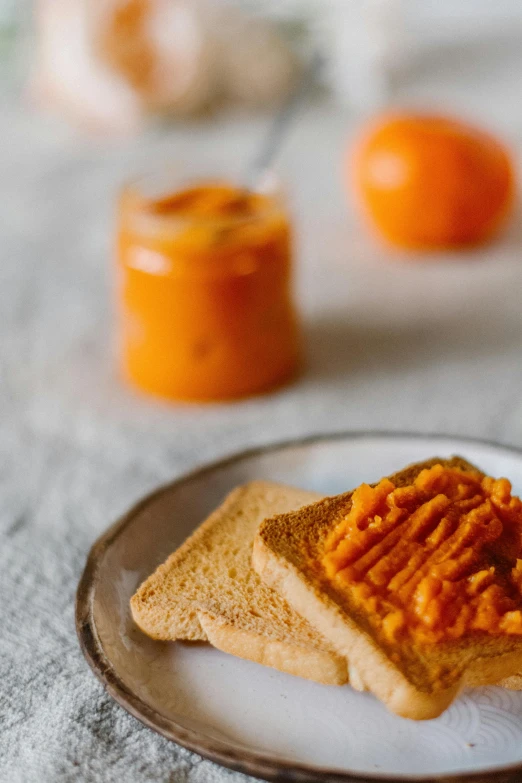 a close up of a plate of food on a table, a still life, pexels contest winner, marmalade, toast, smooth matte, thumbnail