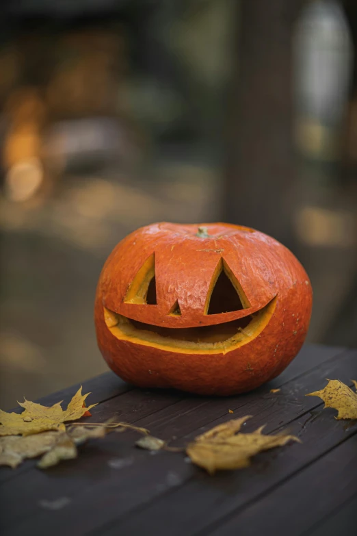 a pumpkin sitting on top of a wooden table, pexels contest winner, almost smiling, square, made of leaf skeleton, 15081959 21121991 01012000 4k