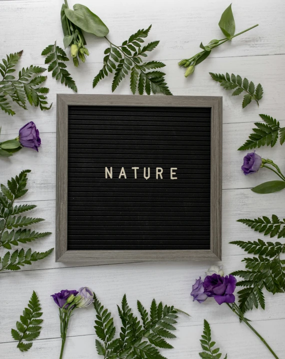 a sign that says nature surrounded by flowers and leaves, inspired by Jane Nasmyth, lightbox, 2019 trending photo, square pictureframes, natural materials