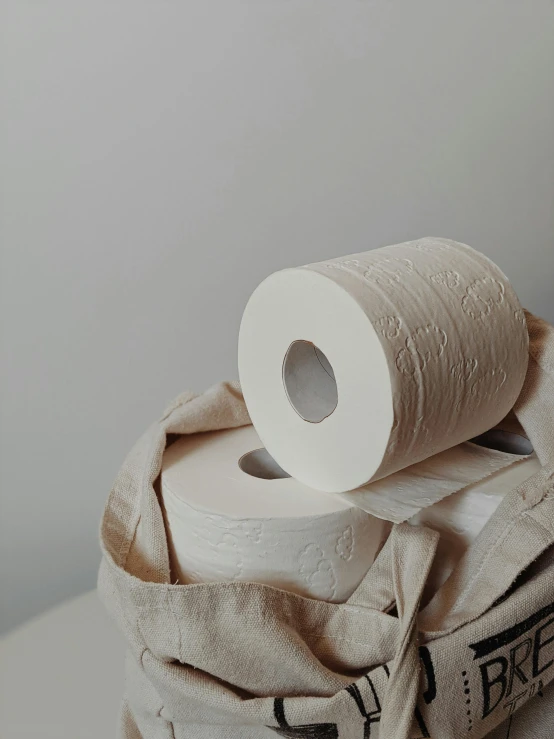 a roll of toilet paper sitting on top of a bag, by Matija Jama, jovana rikalo, background image, organic ceramic white, high-quality wallpaper