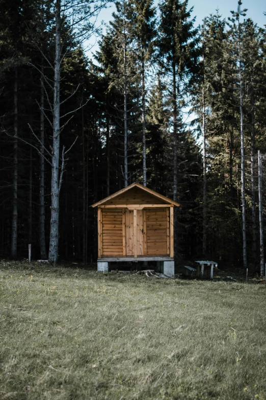 a small cabin in the middle of a forest, by Sebastian Spreng, unsplash, wooden cabinet, 2000s photo, 10k, high quality image