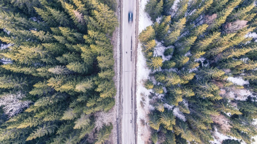 an aerial view of a road surrounded by trees, by Emma Andijewska, pexels contest winner, spring winter nature melted snow, thumbnail, humans exploring, spruce trees on the sides