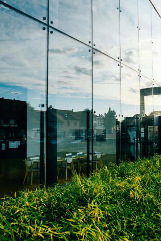 a man riding a skateboard on top of a lush green field, a digital rendering, by Jan Tengnagel, unsplash, modernism, clear glass wall, restaurant exterior photography, an overgrown library, caulfield