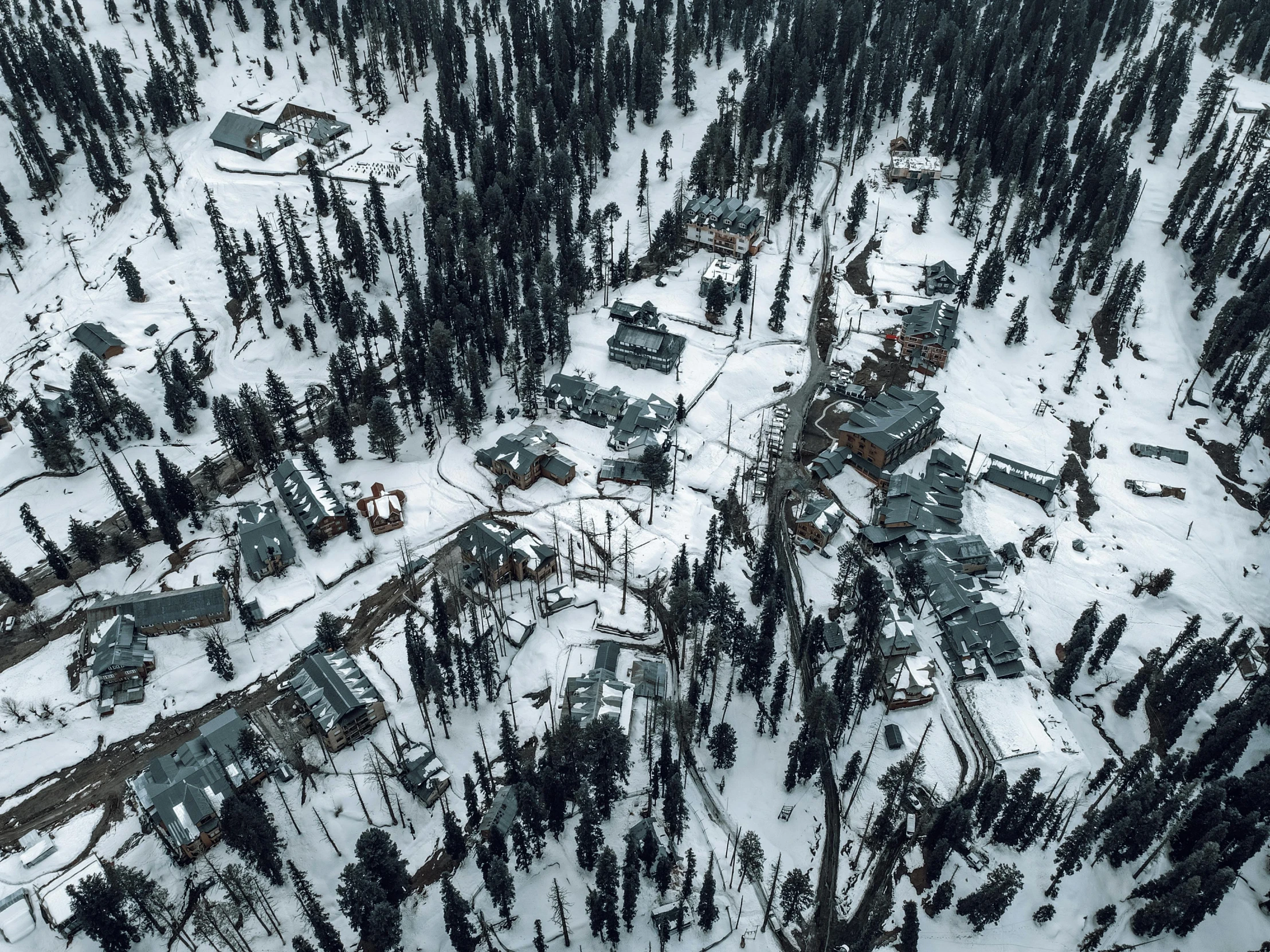 a snow covered forest filled with lots of trees, a tilt shift photo, unsplash, hurufiyya, abandoned town, whistler, view from helicopter, complex and desaturated