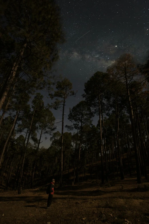 a person standing in the middle of a forest at night, uttarakhand, cinematic shot ar 9:16 -n 6 -g, arrendajo in avila pinewood, planets in the sky