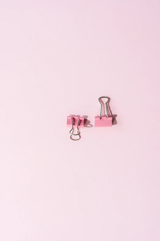 a pair of pink binders sitting on top of a pink surface, a picture, by Elsa Bleda, trending on pexels, conceptual art, mini figure, silver earring, formulas, clamp