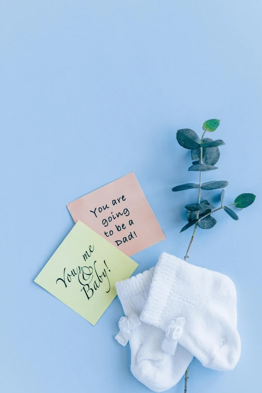 a pair of socks and a plant on a blue background, gum tissue, messages, bump in form of hand, no text