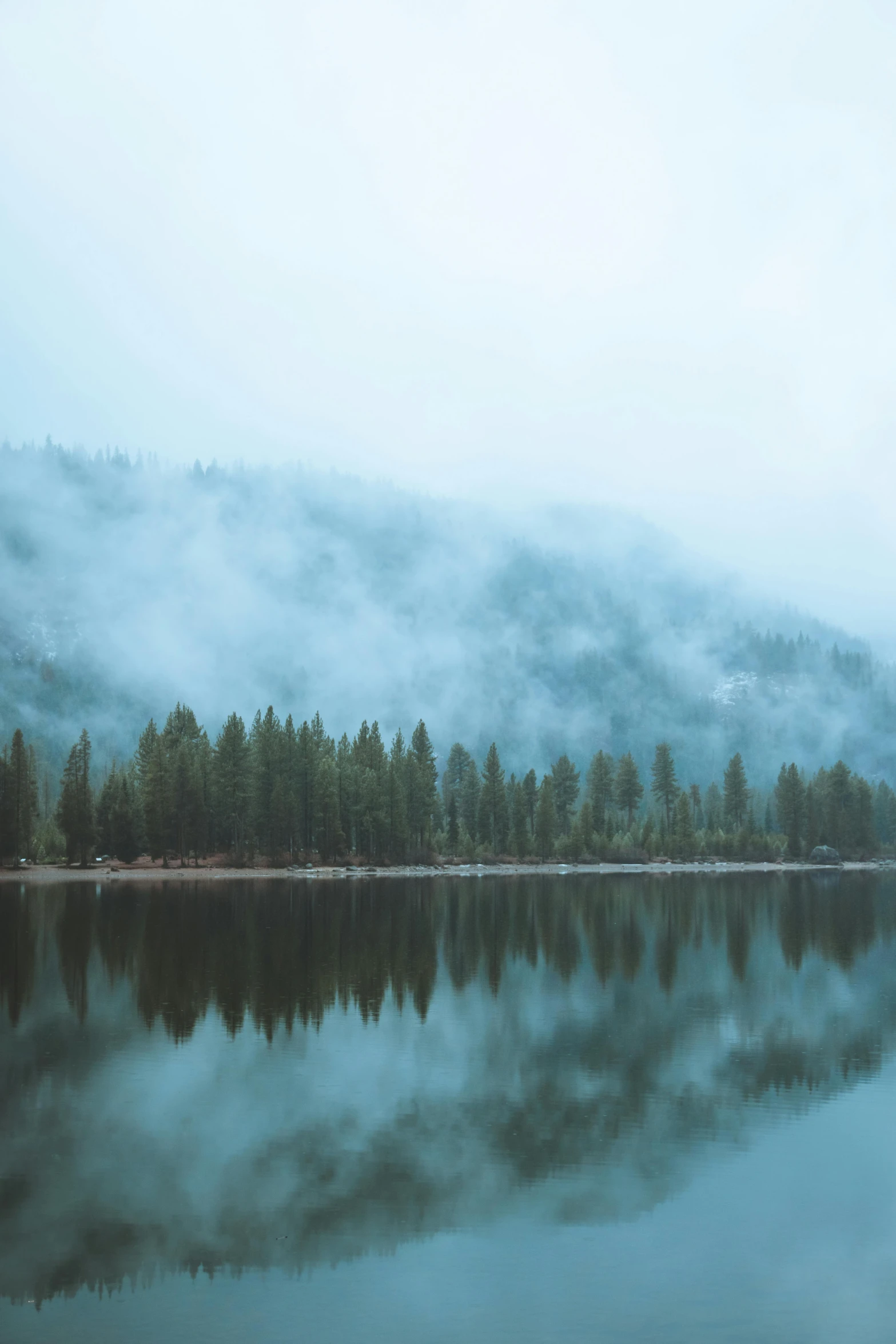 a body of water surrounded by trees on a foggy day, idaho, yosemite, trees reflecting on the lake, unsplash 4k