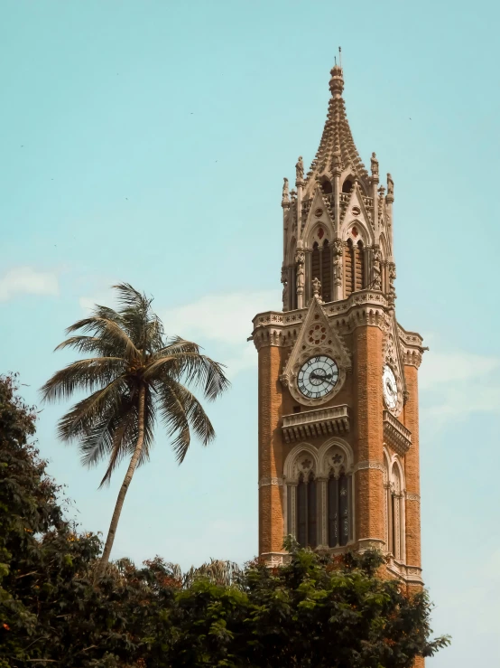 a tall tower with a clock at the top of it, pexels contest winner, mumbai in the future, with palm trees in the back, university, listing image