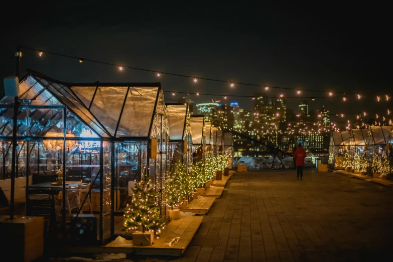 a row of greenhouses with christmas lights in the background, by Julia Pishtar, temporary art, skyline view from a rooftop, dimly-lit cozy tavern, city docks, watch photo