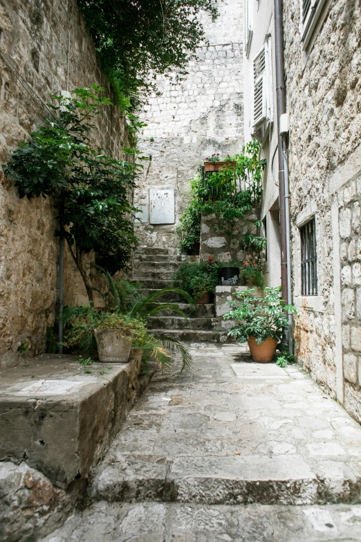 a narrow alley with stone steps and potted plants, a picture, by Konrad Witz, unsplash, renaissance, square, limestone, lush green, van