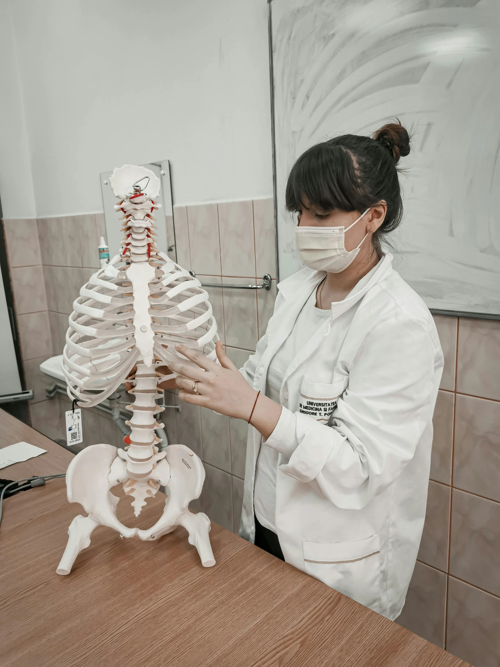 a woman in a white lab coat holding a model of a human skeleton, pexels contest winner, academic art, in russia, rib cage, gif, good posture