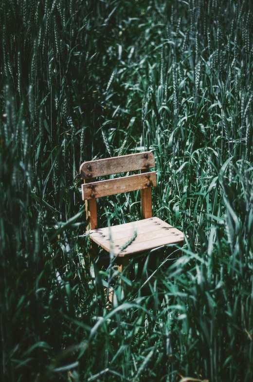 a wooden chair sitting in a field of tall grass, pexels contest winner, conceptual art, cardboard, a green, small, made of wood
