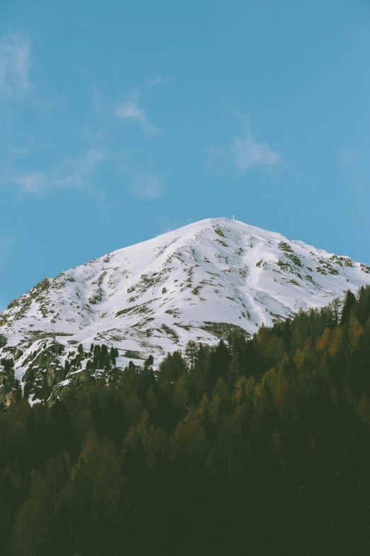 a snow covered mountain with trees in the foreground, by Carlo Martini, trending on unsplash, les nabis, cloudless sky, large tall, brown, head and shoulders view