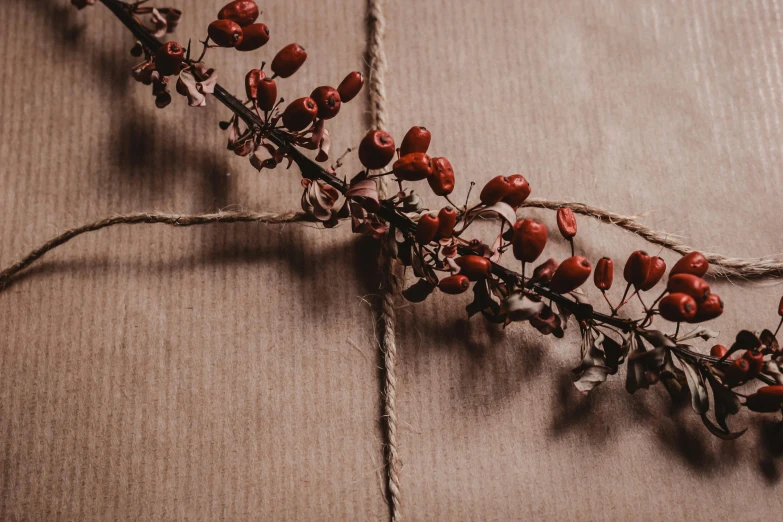 a close up of a bunch of red berries on a string, an album cover, by Sylvia Wishart, pexels contest winner, hurufiyya, brown paper, wrapped, black and terracotta, thumbnail