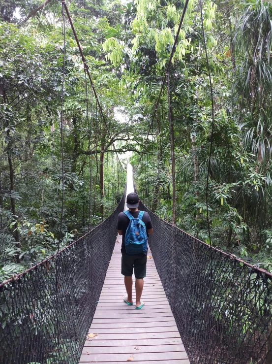 a man walking across a suspension bridge in the jungle, by Byron Galvez, fully covered, long hall way, over the shoulder, view from back