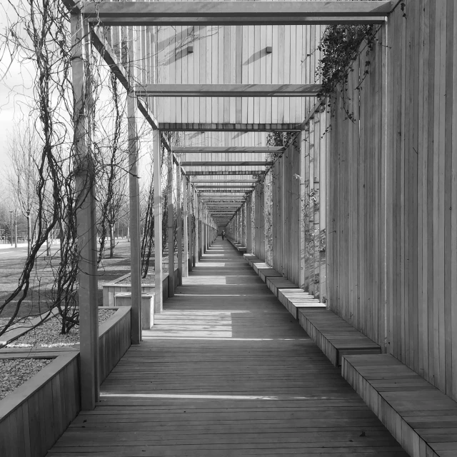 a black and white photo of a walkway, inspired by Tadao Ando, pexels contest winner, arbor, madrid. extreme long shot, wooden structures, sunny day time