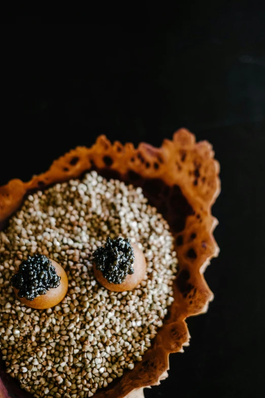 a close up of a person holding a pastry, a stipple, inspired by Hedi Xandt, trending on unsplash, visual art, an island made of caviar, brown smiling eyes, seeds, halloween