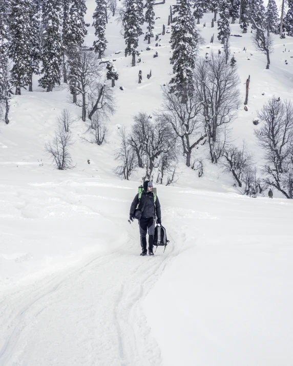 a man riding skis down a snow covered slope, walking through the trees, uttarakhand, carrying a saddle bag, trending photo