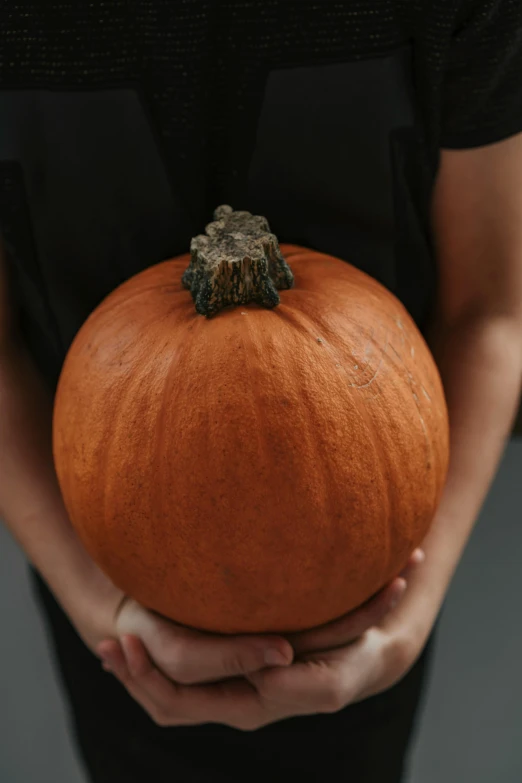 a person holding a pumpkin in their hands, an album cover, trending on unsplash, renaissance, square, 15081959 21121991 01012000 4k, edible, tall