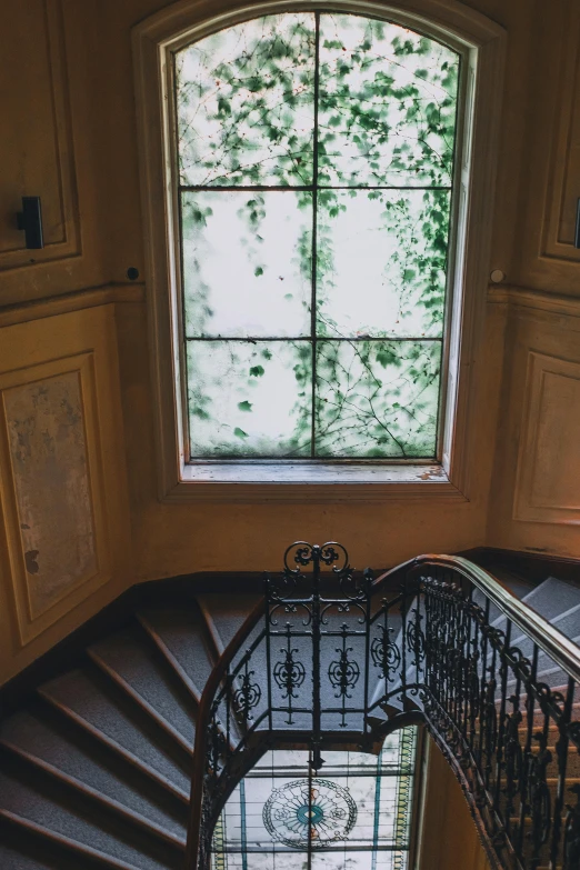 a spiral staircase next to a window in a building, pexels contest winner, art nouveau, green vines, hazy, promo image, high view