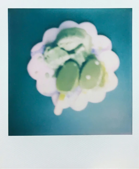 a close up of a plate of food on a table, a polaroid photo, by Nathalie Rattner, unsplash, pop art, green pupills, ice cream, light green, made of food