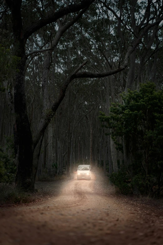 a car driving down a dirt road at night, unsplash contest winner, australian tonalism, old growth forest, dramatic lighting - n 9, todd hido, lee madgwick & liam wong