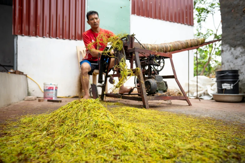 a man sitting in front of a pile of grass, process art, cooking oil, lianas, mill, high quality product image”