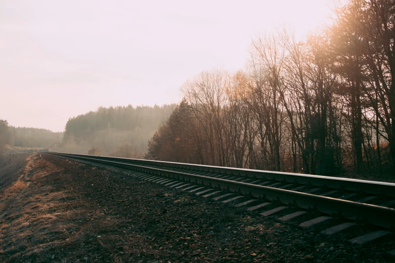 a train traveling down train tracks next to a forest, inspired by Elsa Bleda, unsplash, romanticism, faded glow, instagram photo, fall season, thumbnail