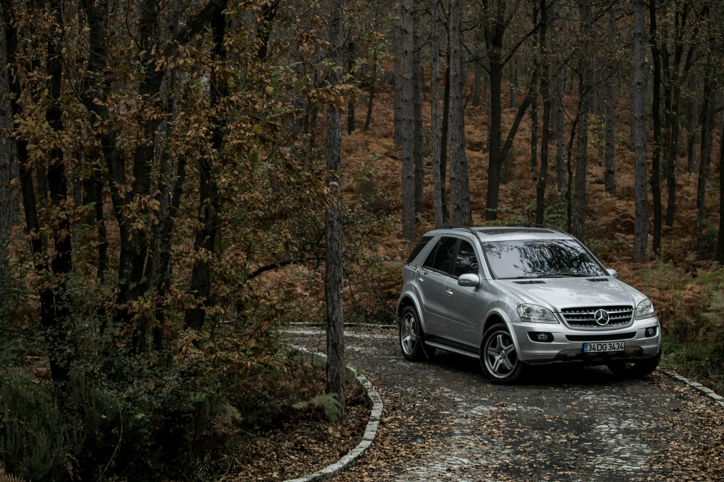 a silver car parked in the middle of a forest, mercedes, 4k photo”, fan favorite, grain”