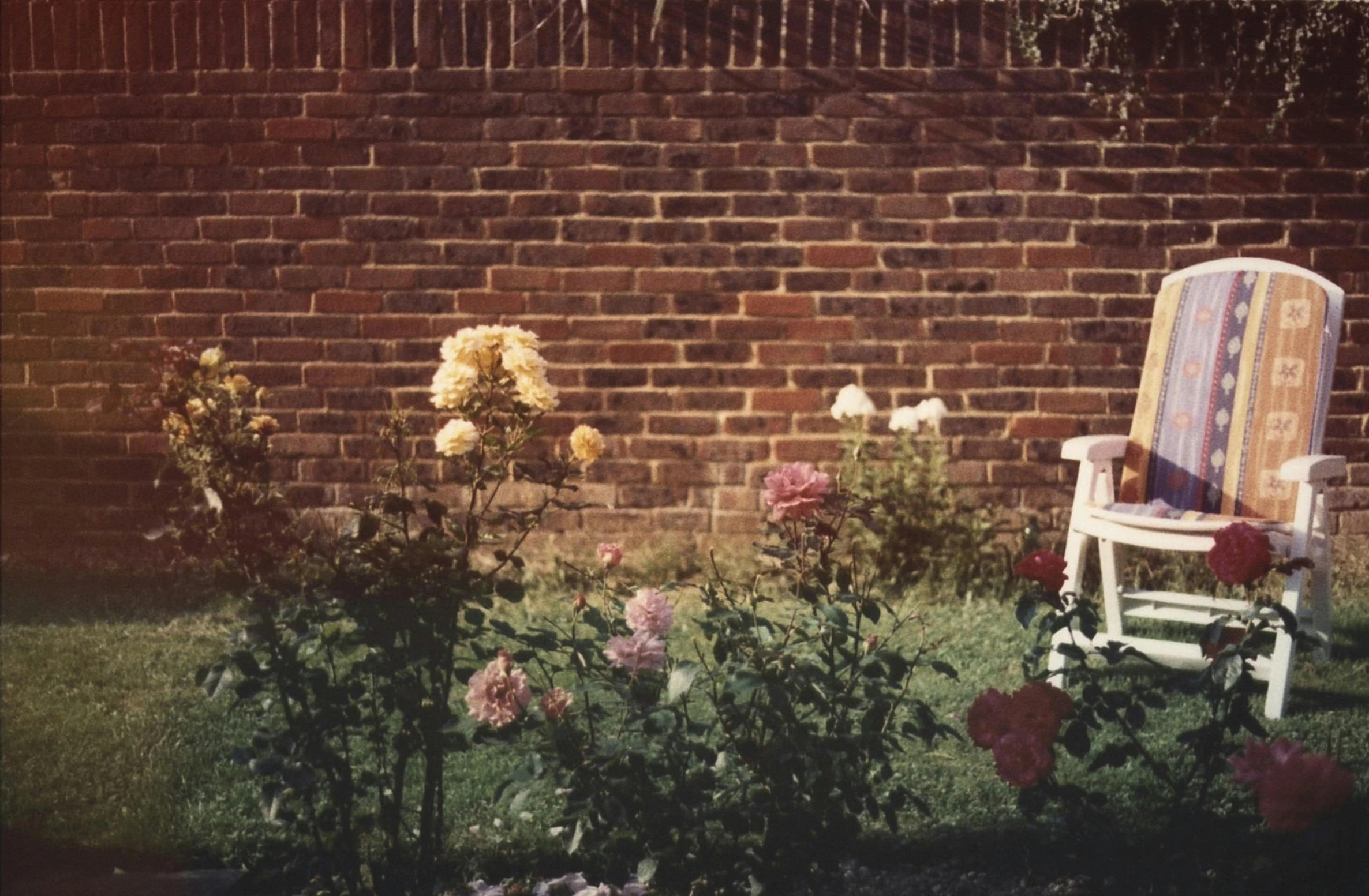 a wooden chair sitting in front of a brick wall, an album cover, unsplash, flowerbeds, expired film, hammershoi, rose garden