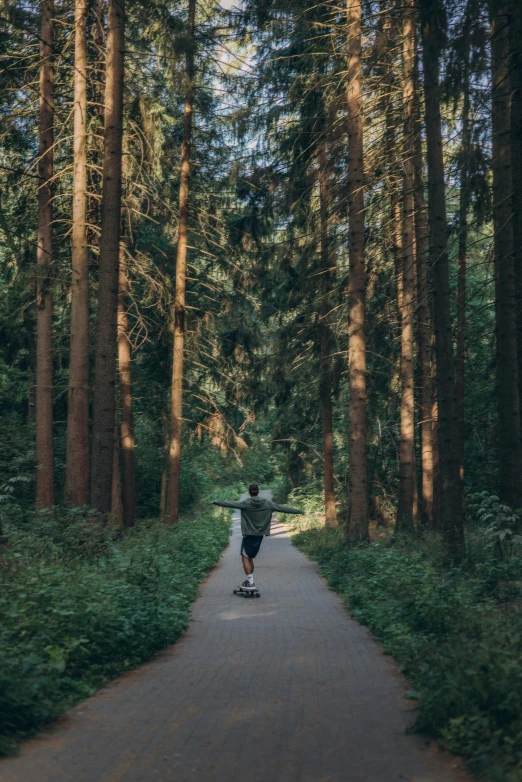 a man riding a skateboard down a tree lined road, by Tobias Stimmer, unsplash contest winner, renaissance, coniferous forest, detmold, 🚿🗝📝, wide full body