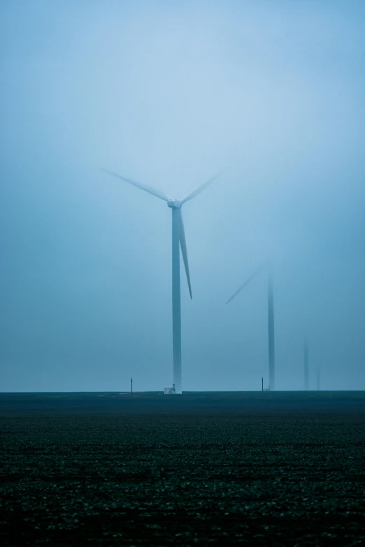 wind turbines in a field on a foggy day, by Jan Tengnagel, fan favorite, hyperminimalist, color graded, award winning color photo