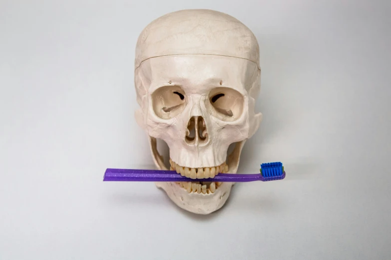 a skull with a toothbrush in it's mouth, by Adam Marczyński, pexels contest winner, hyperrealism, ((purple)), square jaw, medical, made of plastic