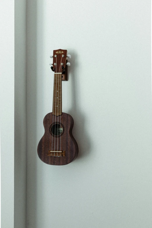 a small wooden ukule hanging on a wall, brown, umbra, multiple stories, small