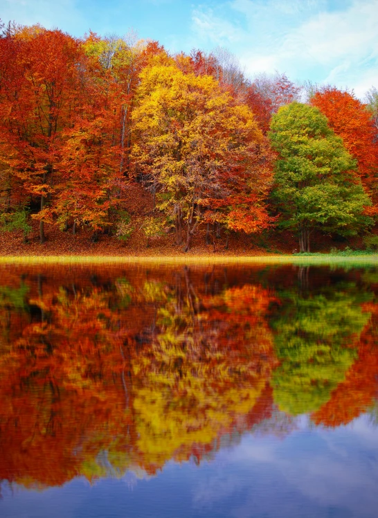 a large body of water surrounded by trees, pexels contest winner, hudson river school, color leaves, water reflection!!!!!, 2 5 6 x 2 5 6 pixels, slide show