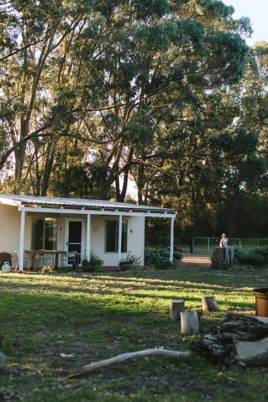 a couple of people that are standing in the grass, small cottage in the foreground, eucalyptus trees, sun lit, camp