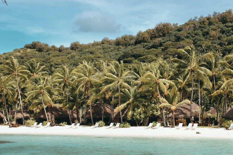 a group of lounge chairs sitting on top of a sandy beach, tawa trees, flatlay, conde nast traveler photo, coconut palms