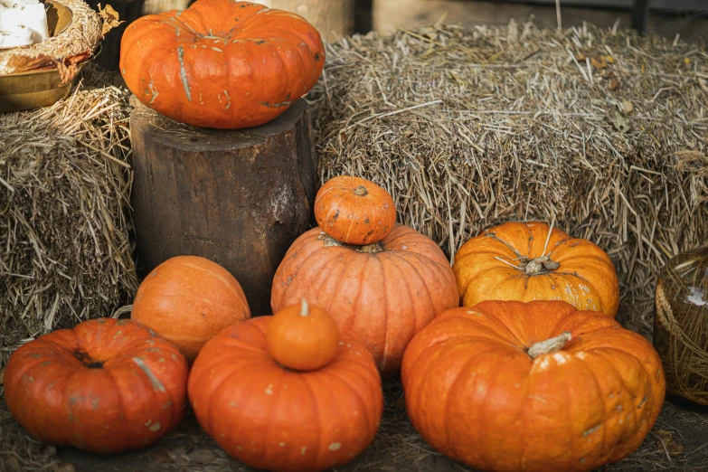 a pile of pumpkins sitting on top of a pile of hay, unsplash, various posed, multiple stories, a wooden, full res